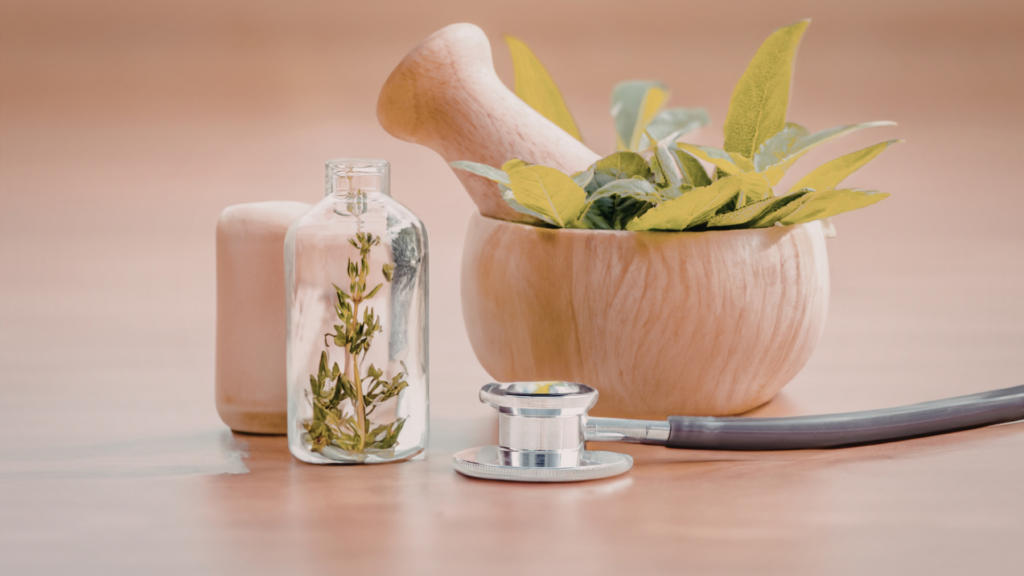 A serene, modern dental office featuring natural wood accents and indoor plants, with a dentist discussing a digital wellness plan with a relaxed patient.