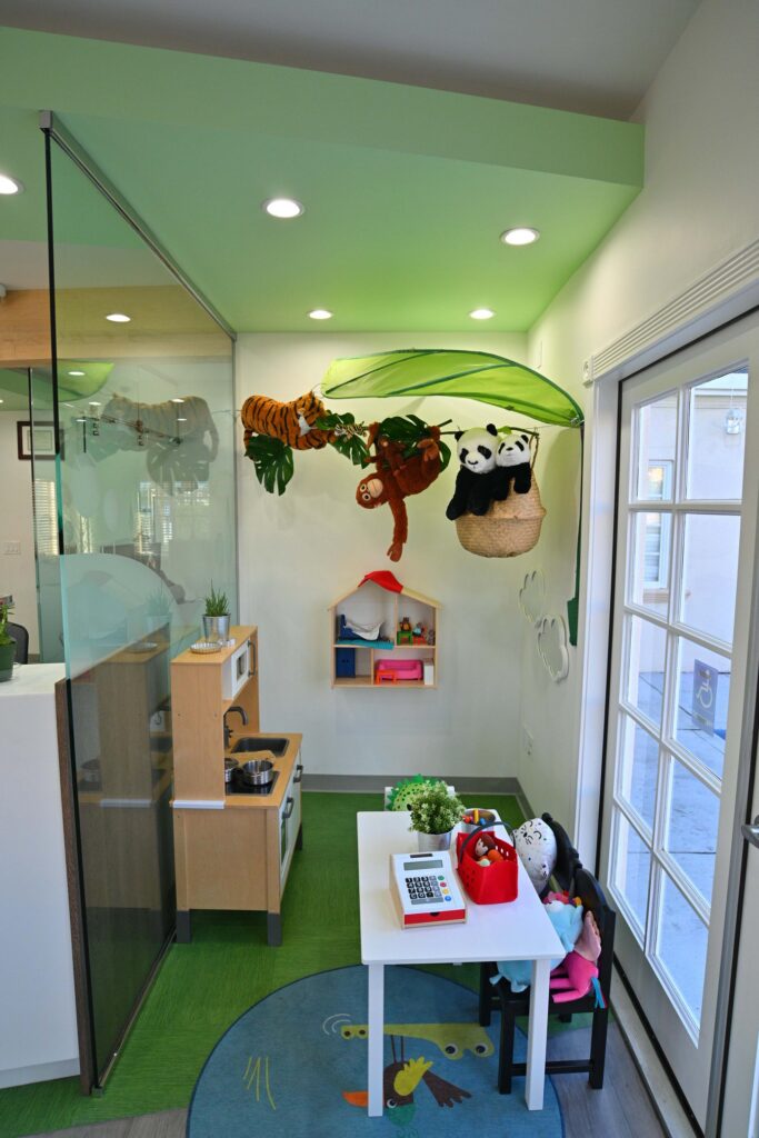 A colorful, inviting play area for children at Well Being Dentistry in Santa Clara, designed to create a fear-free, holistic pediatric dentistry experience.
